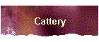 Cattery