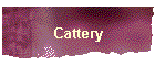 Cattery