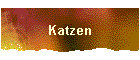 Katzen