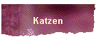 Katzen