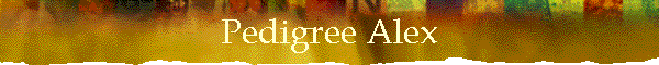 Pedigree Alex