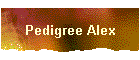 Pedigree Alex