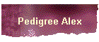 Pedigree Alex