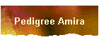 Pedigree Amira