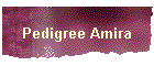 Pedigree Amira