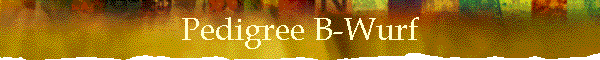 Pedigree B-Wurf