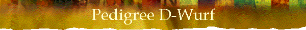 Pedigree D-Wurf