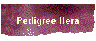 Pedigree Hera