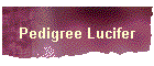 Pedigree Lucifer